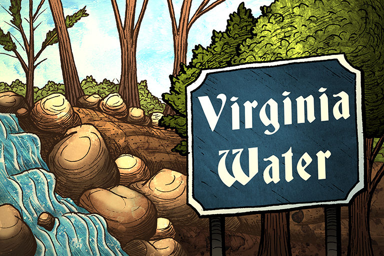 Visit Egham - illustrations-Virginia Water-768